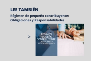 regimen electrónico de pequeño contribuyente